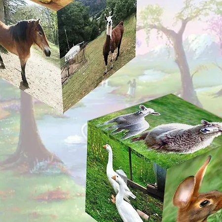 Perchée Avec Terrasse, Sauna Et Bbq à - Fr-1-589-770 Chalet