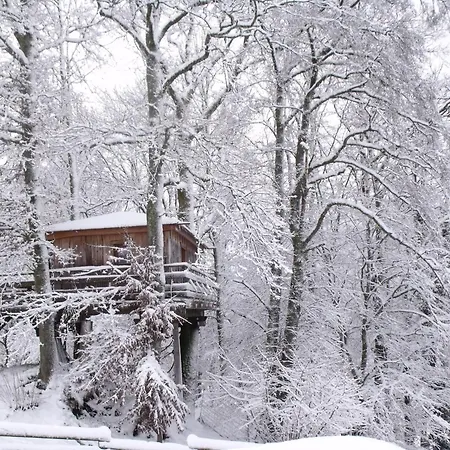 Chalet Perchee Avec Terrasse, Sauna Et Bbq A