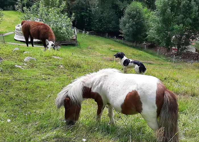 Perchee Avec Terrasse, Sauna Et Bbq A - Fr-1-589-770