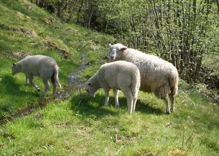 Perchee Avec Terrasse, Sauna Et Bbq A - Fr-1-589-770 木屋 Ferdrupt