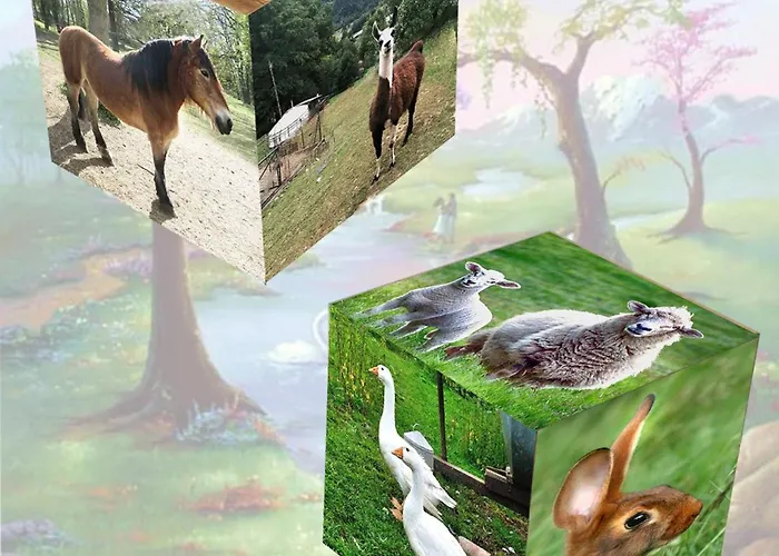 Perchee Avec Terrasse, Sauna Et Bbq A - Fr-1-589-770 木屋