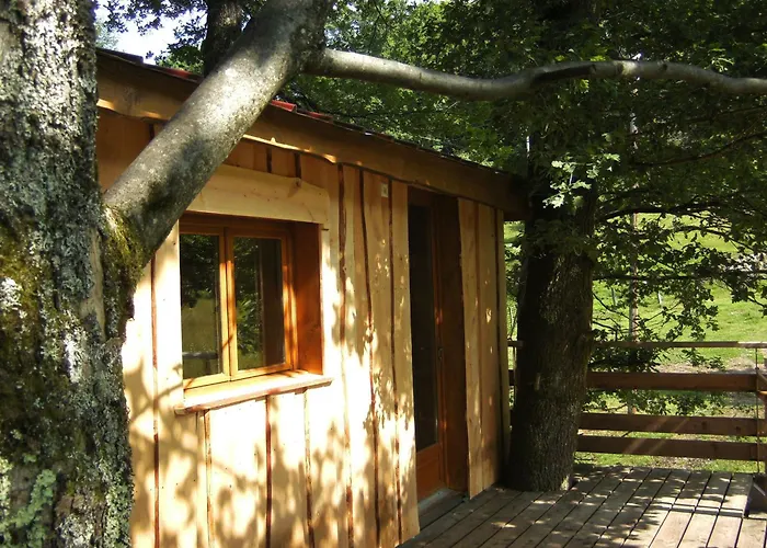 木屋 Perchee Avec Terrasse, Sauna Et Bbq A - Fr-1-589-770 *