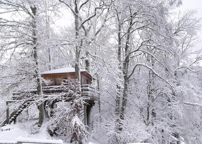 木屋 Perchee Avec Terrasse, Sauna Et Bbq A - Fr-1-589-770